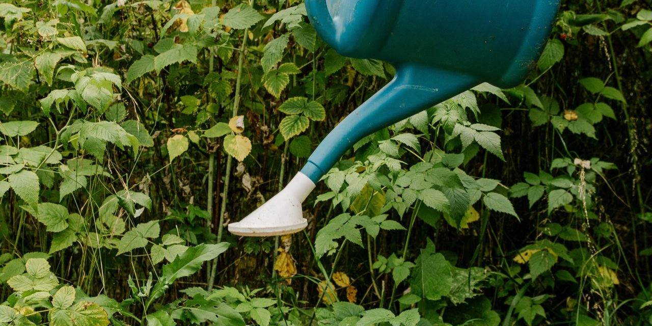 How to Build and Maintain Momentum when Writing, Publishing or Marketing Your Book (without Burning Yourself Out)