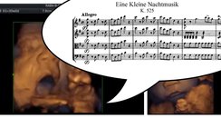 foetus singing mozart