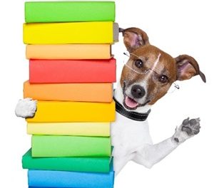 Establishing Thought Leadership: Your Book and Expertise